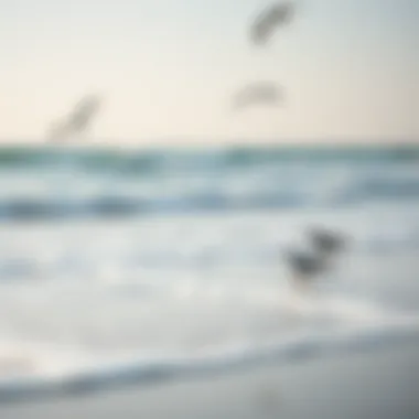 A tranquil beach scene with ocean waves and seagulls