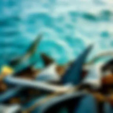 A stark contrast between a vibrant ocean and discarded shark fins