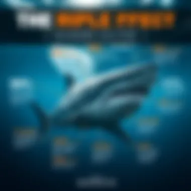 Infographic highlighting the impact of shark finning on marine ecosystems