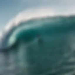 A skilled surfer executing a maneuver on a vibrant wave