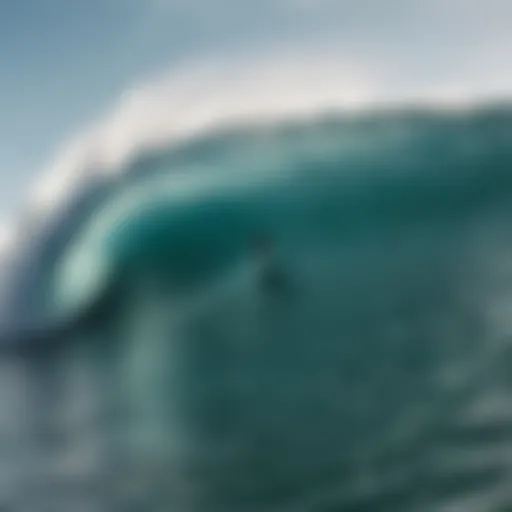 A skilled surfer executing a maneuver on a vibrant wave