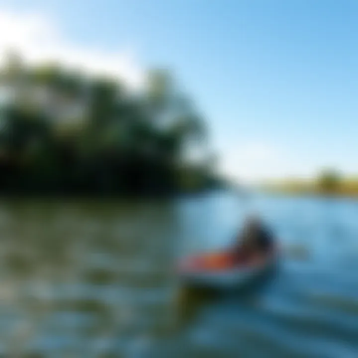 Conservation efforts in preserving billabong habitats