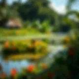 Lush billabong surrounded by vibrant flora