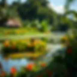 Lush billabong surrounded by vibrant flora