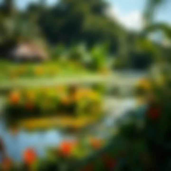 Lush billabong surrounded by vibrant flora