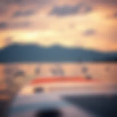 The Detailed Exploration of Electric Stand-Up Paddleboards Summary