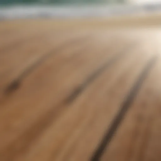 Detailed view of surfboard design showcasing curves and fins