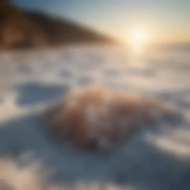 A serene image of natural mineral-rich salt deposits by the sea