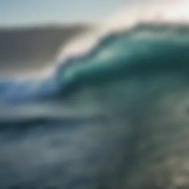 Wave patterns illustrating the acoustic diversity of the sea