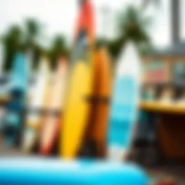 Different types of universal surfboard racks displayed in an outdoor setting