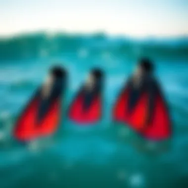 Explore the Range of TYR Flex Fins Sizes TYR Flex Fins in various sizes