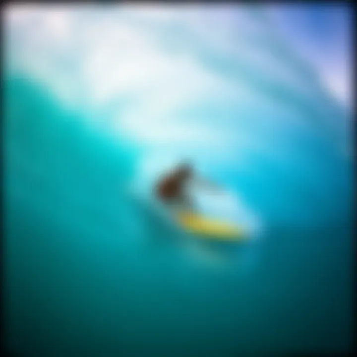 Notable Understanding Hansen's Surf Cam: An Insightful Exploration