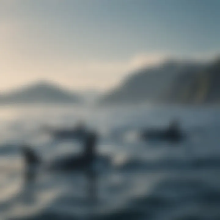 A pod of killer whales swimming gracefully in the ocean