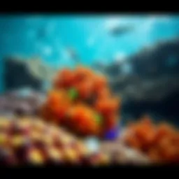 A vibrant coral reef affected by plastic waste