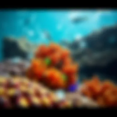 The Impact of Plastic on Coral Reefs A vibrant coral reef affected by plastic waste