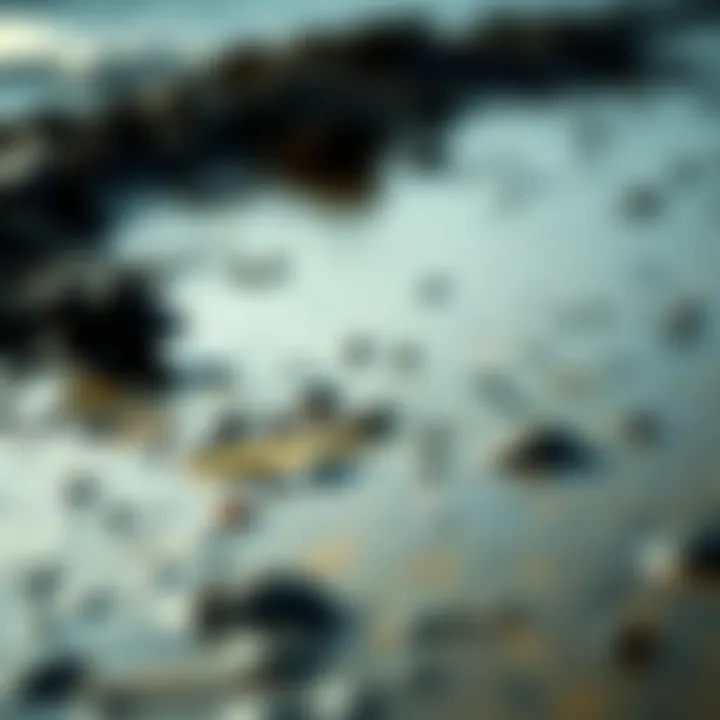 Devastating Effects of Oil Spills on Marine Life An oil spill contaminating a coastal area