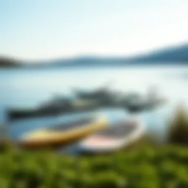 Lakeside Scene with Motorized Paddleboards A serene lakeside scene with various motorized paddleboards anchored