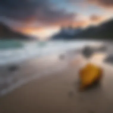 Patagonia Sunamee Bottoms showcased against a scenic beach backdrop