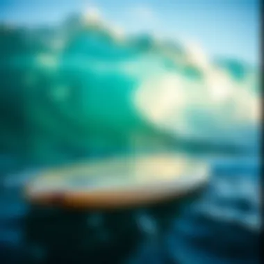 Essential Maintenance Tips for Soft Top Fish Surfboards Essential maintenance tips for soft top fish surfboards illustrated visually