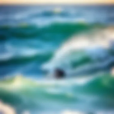 Performance of Soft Top Fish Surfboards in Ocean Waves A soft top fish surfboard in action, demonstrating performance in ocean waves