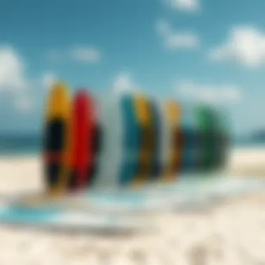 A variety of paddle boards lined up on a beach, showcasing different lengths.