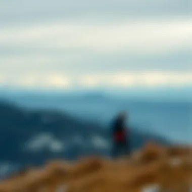 Wind chill effect visualized in an outdoor setting