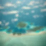 Aerial view of the islands of French Polynesia