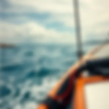 Detailed view of wind speed and direction over water