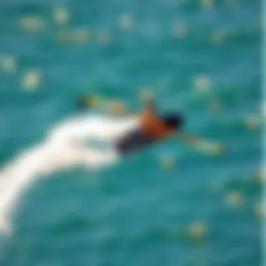 Aerial view of a wingfoil surfer riding the wind
