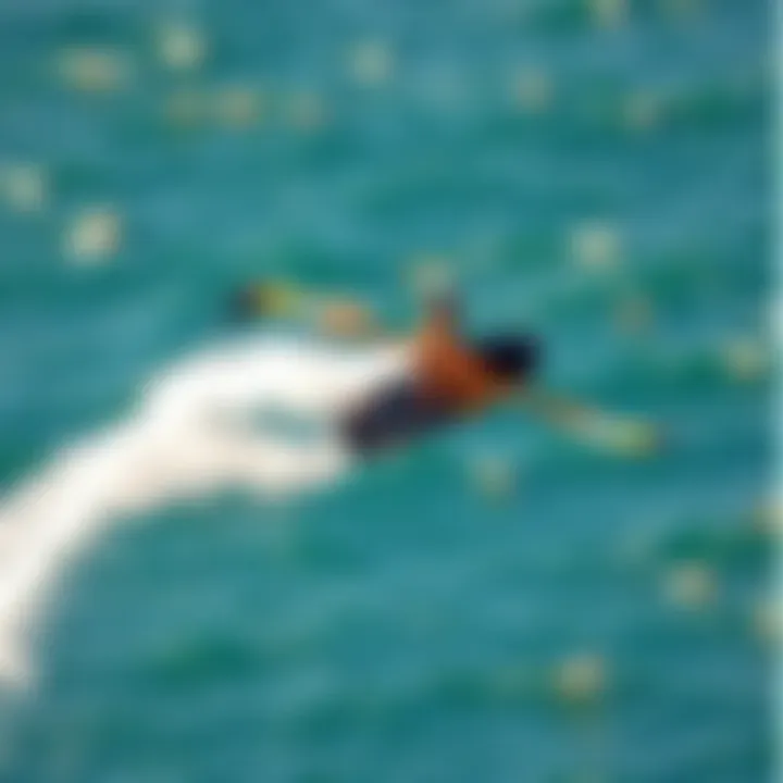 Aerial view of a wingfoil surfer riding the wind